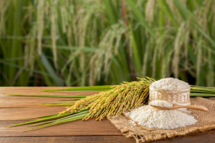 Steam Rice