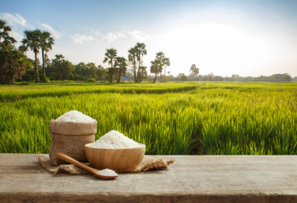 1121 kainat Rice