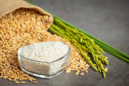 Karnal Rice
